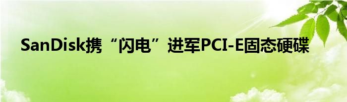 SanDisk携“闪电”进军PCI