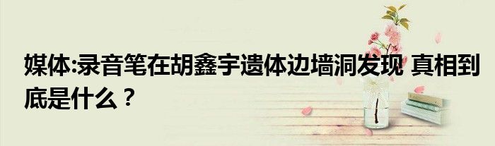 媒体:录音笔在胡鑫宇遗体边墙洞发现 真相到底是什么？