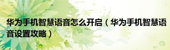 华为手机智慧语音怎么开启（华为手机智慧语音设置攻略）