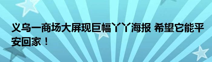 义乌一商场大屏现巨幅丫丫海报 希望它能平安回家!