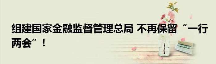 组建国家金融监督管理总局 不再保留“一行两会”!