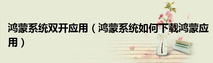 鸿蒙系统双开应用（鸿蒙系统如何下载鸿蒙应用）