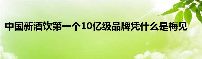 中国新酒饮第一个10亿级品牌凭什么是梅见