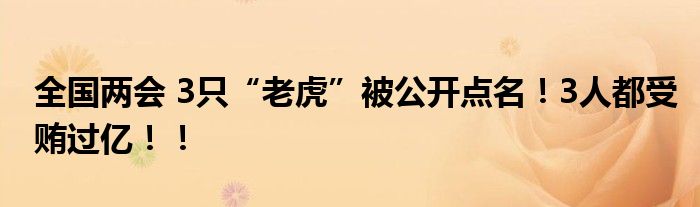 全国两会 3只“老虎”被公开点名！3人都受贿过亿！！