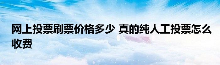 网上投票刷票价格多少 真的纯人工投票怎么收费