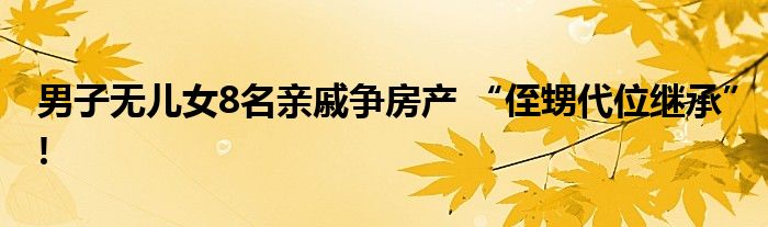 男子无儿女8名亲戚争房产 “侄甥代位继承”!