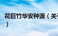 花巨竹华安种源（关于花巨竹华安种源的简介）