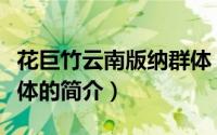 花巨竹云南版纳群体（关于花巨竹云南版纳群体的简介）