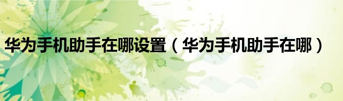 华为手机助手在哪设置（华为手机助手在哪）