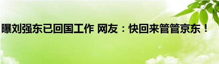 曝刘强东已回国工作 网友：快回来管管京东！