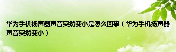 华为手机扬声器声音突然变小是怎么回事（华为手机扬声器声音突然变小）