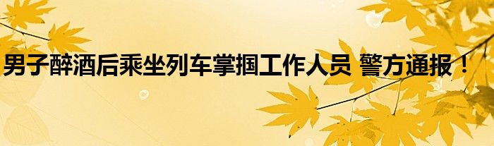 男子醉酒后乘坐列车掌掴工作人员 警方通报！