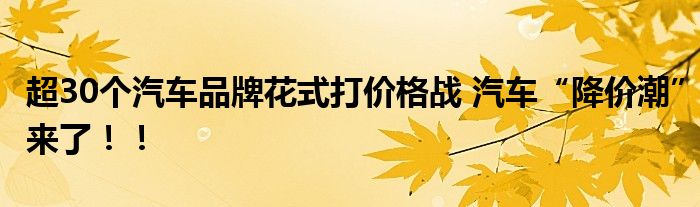超30个汽车品牌花式打价格战 汽车“降价潮”来了！！