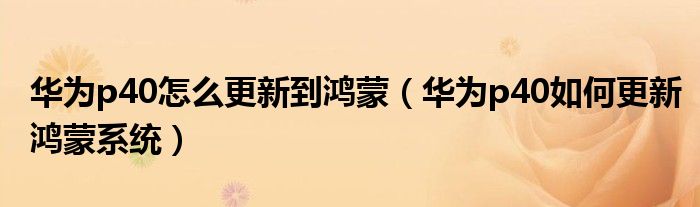 华为p40怎么更新到鸿蒙（华为p40如何更新鸿蒙系统）