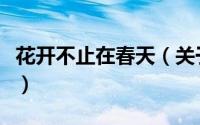 花开不止在春天（关于花开不止在春天的简介）