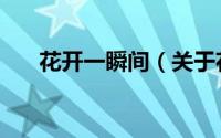 花开一瞬间（关于花开一瞬间的简介）