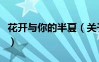 花开与你的半夏（关于花开与你的半夏的简介）