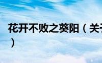 花开不败之葵阳（关于花开不败之葵阳的简介）