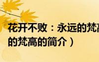 花开不败：永远的梵高（关于花开不败：永远的梵高的简介）