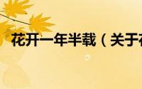 花开一年半载（关于花开一年半载的简介）