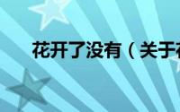 花开了没有（关于花开了没有的简介）