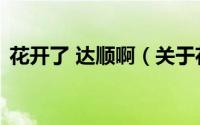 花开了 达顺啊（关于花开了 达顺啊的简介）