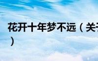 花开十年梦不远（关于花开十年梦不远的简介）