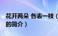 花开两朵 各表一枝（关于花开两朵 各表一枝的简介）