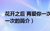 花开之后 再爱你一次（关于花开之后 再爱你一次的简介）