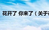 花开了 你来了（关于花开了 你来了的简介）