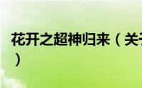 花开之超神归来（关于花开之超神归来的简介）