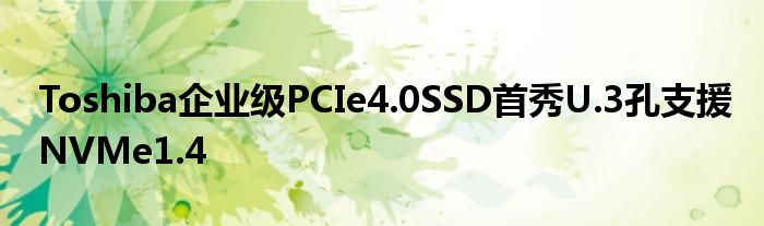 Toshiba企业级PCIe4.0SSD首秀U.3孔支援NVMe1.4
