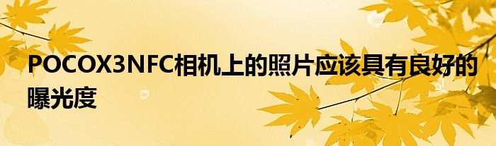 POCOX3NFC相机上的照片应该具有良好的曝光度
