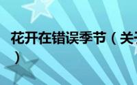 花开在错误季节（关于花开在错误季节的简介）
