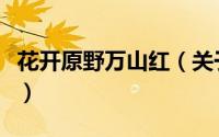 花开原野万山红（关于花开原野万山红的简介）