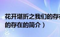 花开堪折之我们的存在（关于花开堪折之我们的存在的简介）