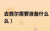 去首尔需要准备什么（去韩国首尔需要准备什么）
