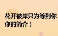 花开彼岸只为等到你（关于花开彼岸只为等到你的简介）