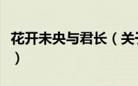 花开未央与君长（关于花开未央与君长的简介）
