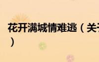 花开满城情难逃（关于花开满城情难逃的简介）