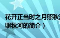花开正当时之月照秋河（关于花开正当时之月照秋河的简介）