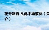 花开盛夏 从此不再落寞（关于花开盛夏 从此不再落寞的简介）