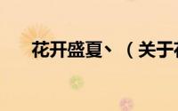 花开盛夏丶（关于花开盛夏丶的简介）
