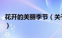 花开的美丽季节（关于花开的美丽季节的简介）