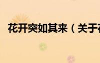 花开突如其来（关于花开突如其来的简介）