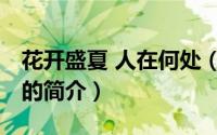 花开盛夏 人在何处（关于花开盛夏 人在何处的简介）