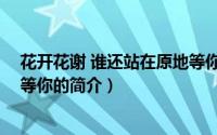 花开花谢 谁还站在原地等你（关于花开花谢 谁还站在原地等你的简介）