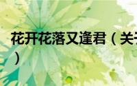 花开花落又逢君（关于花开花落又逢君的简介）