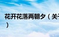 花开花落两朝夕（关于花开花落两朝夕的简介）