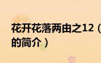 花开花落两由之12（关于花开花落两由之12的简介）
